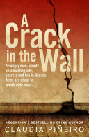 A Crack in the Wall Pdf/ePub eBook