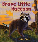 Brave Little Raccoon
