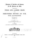 Field and Garden Crops of the North-western Provinces and Oudh