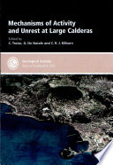 Mechanisms of Activity and Unrest at Large Calderas