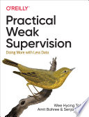 Practical Weak Supervision Book PDF