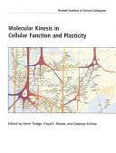 Molecular Kinesis in Cellular Function and Plasticity