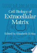 Cell Biology of Extracellular Matrix