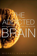 The Addicted Brain