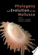 Phylogeny And Evolution Of The Mollusca