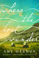 Where the Lost Wander Book