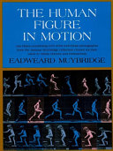 The Human Figure in Motion