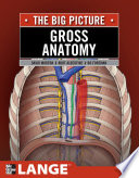 Gross Anatomy  The Big Picture