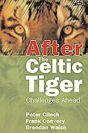 After the Celtic Tiger