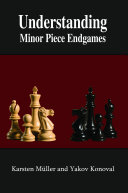 Understanding Minor Piece Endgames