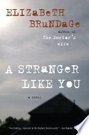 A Stranger Like You Book