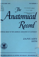 The Anatomical Record