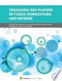 Tenascins: Key Players in Tissue Homeostasis and Defense