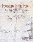Footsteps in the Forest