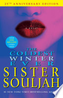 The Coldest Winter Ever image