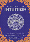 A Little Bit of Intuition Book