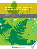 Big Earth Data Intelligence for Environmental Modeling