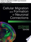 Comprehensive Developmental Neuroscience  Cellular Migration and Formation of Neuronal Connections Book