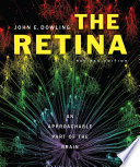 The Retina Book