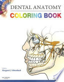 Dental Anatomy Coloring Book Book