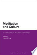 Meditation and Culture Book