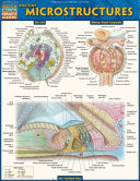 Anatomy  Microstructures Book