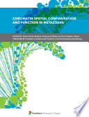 Chromatin Spatial Configuration and Function in Metazoans Book
