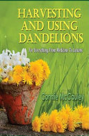 Harvesting and Using Dandelions