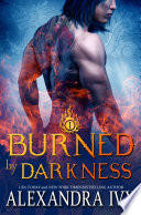 Burned By Darkness Book