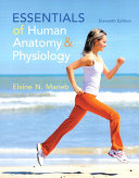Essentials of Human Anatomy   Physiology Book