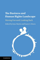 The Business and Human Rights Landscape
