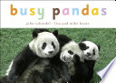 Busy Pandas Book