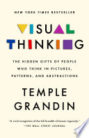 Visual Thinking Book