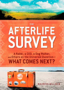 The Afterlife Survey