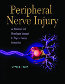 Peripheral Nerve Injury An Anatomical and Physiological Approach for Physical Therapy Intervention