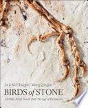 Birds of Stone Book