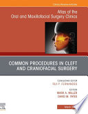 Cleft and Craniofacial Surgery  An Issue of Atlas of the Oral   Maxillofacial Surgery Clinics  E Book