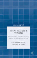 What Water Is Worth: Overlooked Non-Economic Value in Water Resources