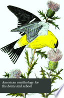 American Ornithology for the Home and School