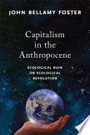 Capitalism in the Anthropocene Book