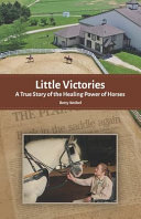 Little Victories Book