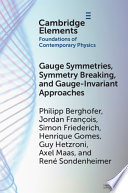 Gauge Symmetries  Symmetry Breaking  and Gauge Invariant Approaches
