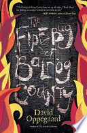The Firebug of Balrog County PDF Book By David Oppegaard