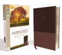 Amplified Study Bible  Imitation Leather  Brown