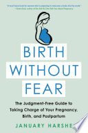 Birth Without Fear Book PDF
