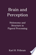 brain-and-perception