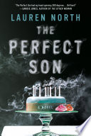 The Perfect Son Book