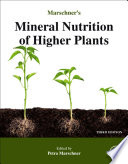 Marschner s Mineral Nutrition of Higher Plants