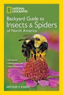 Backyard Guide to Insects and Spiders of North America