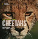 Face to Face with Cheetahs Book